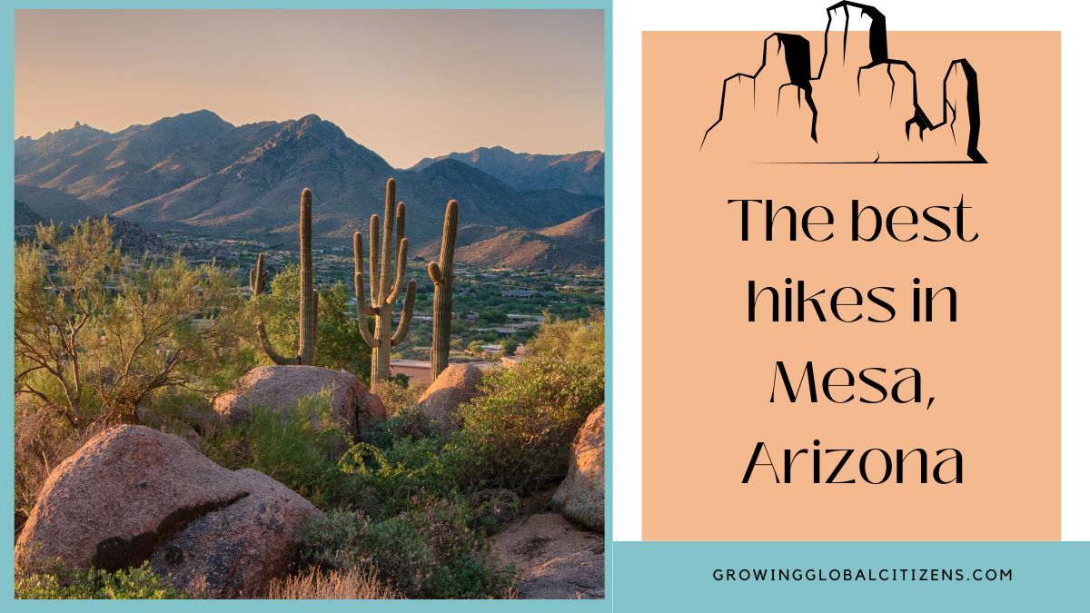 Beginner's Guide to Hiking in Mesa, AZ - Growing Global Citizens